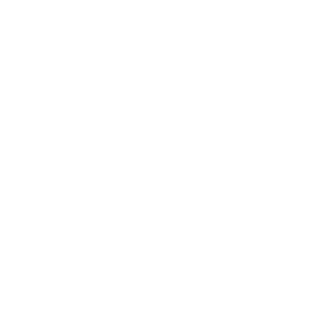 Wedding Bells icon